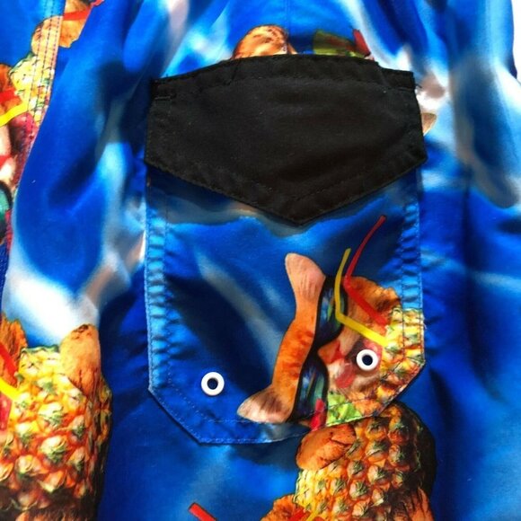 Bioworld Cat Pineapple Drawstring Board Shorts - Picture 8 of 10